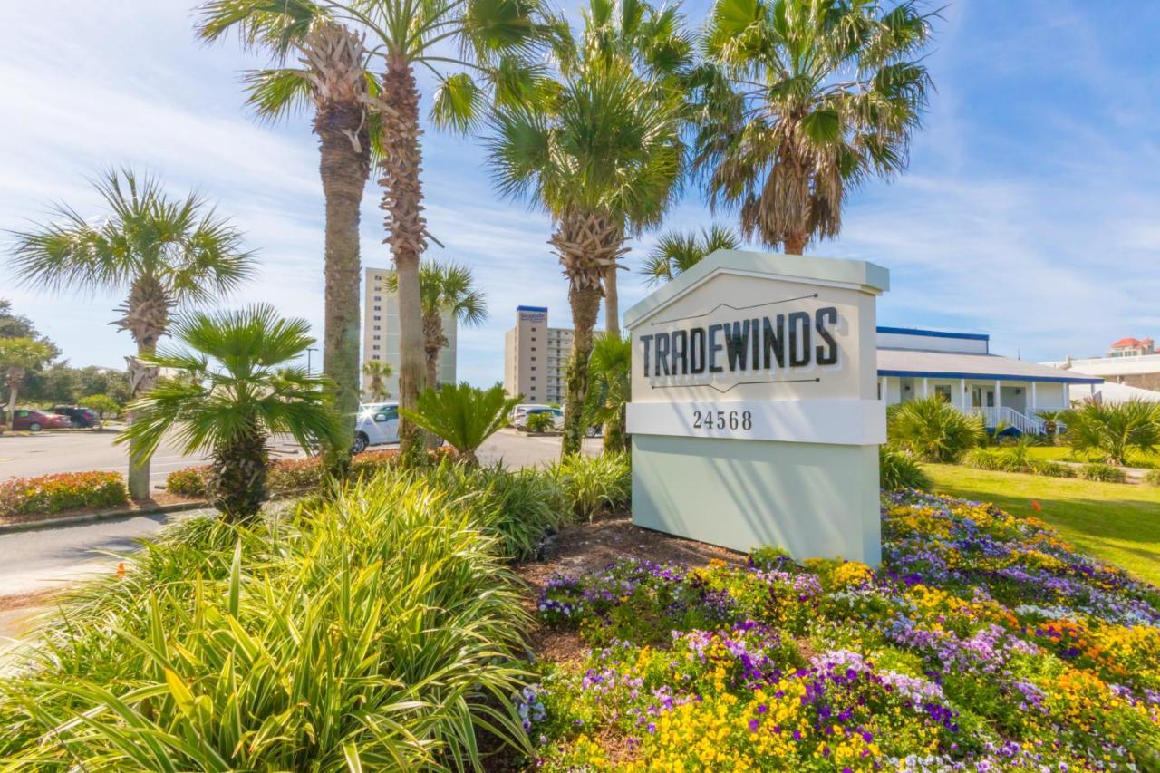 Tradewinds 208 Daire Orange Beach Dış mekan fotoğraf